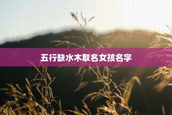 五行缺水木取名女孩名字