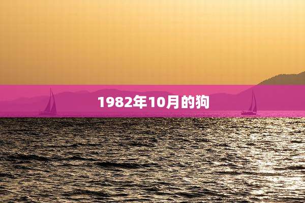 1982年10月的狗
