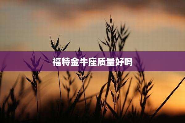 福特金牛座质量好吗
