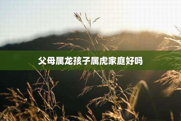 父母属龙孩子属虎家庭好吗