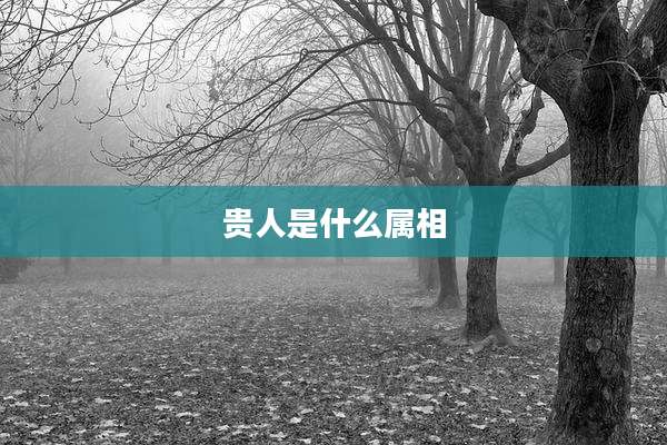 贵人是什么属相