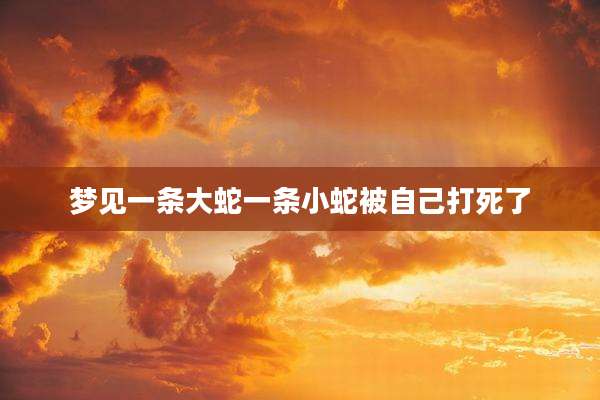 梦见一条大蛇一条小蛇被自己打死了