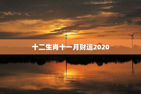 十二生肖十一月财运2020