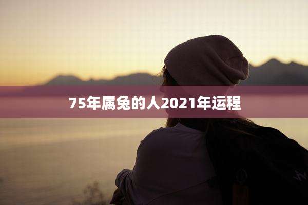 75年属兔的人2021年运程