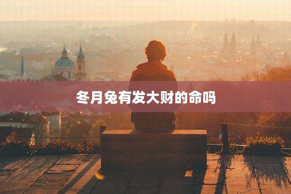 冬月兔有发大财的命吗