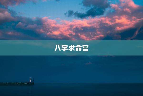 八字求命宫