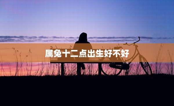 属兔十二点出生好不好
