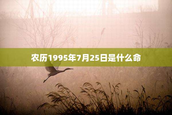 农历1995年7月25日是什么命