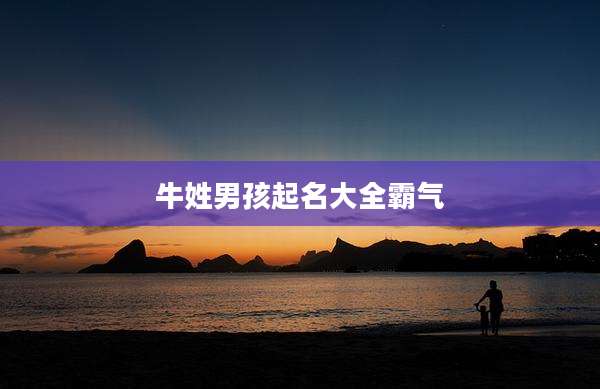 牛姓男孩起名大全霸气