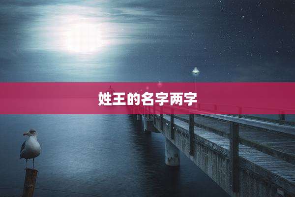 姓王的名字两字
