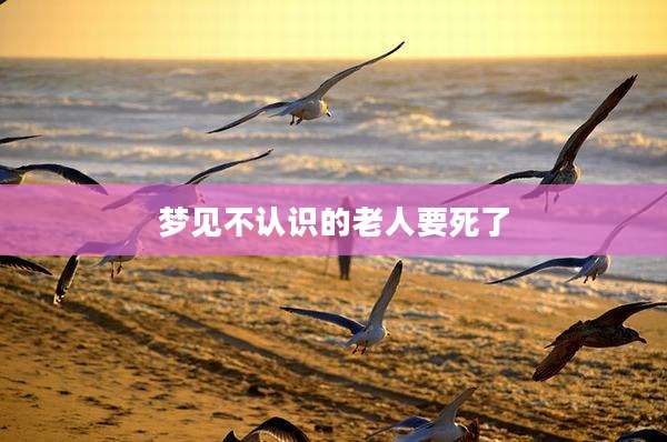 梦见不认识的老人要死了