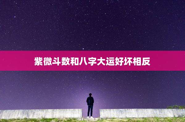 紫微斗数和八字大运好坏相反