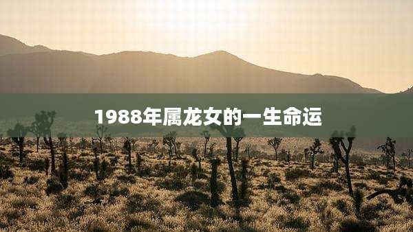 1988年属龙女的一生命运