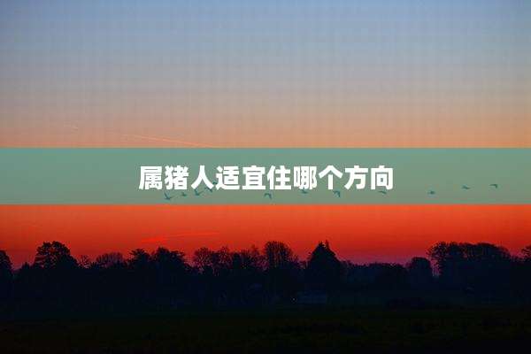 属猪人适宜住哪个方向