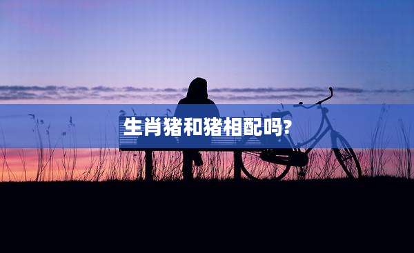 生肖猪和猪相配吗?