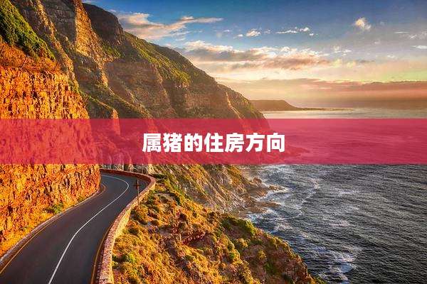 属猪的住房方向