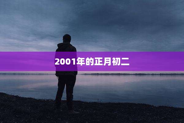 2001年的正月初二