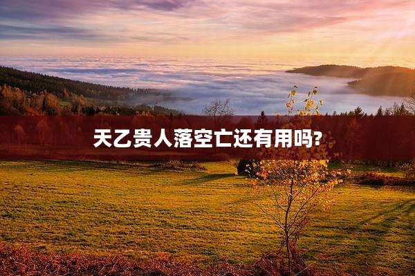 天乙贵人落空亡还有用吗?