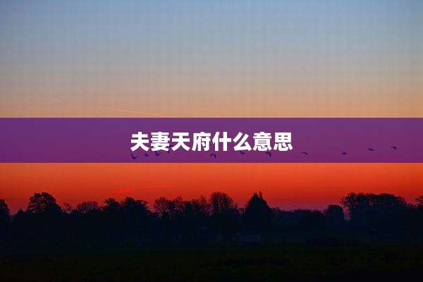 夫妻天府什么意思