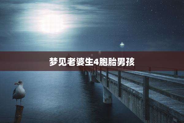 梦见老婆生4胞胎男孩