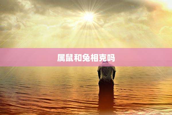 属鼠和兔相克吗