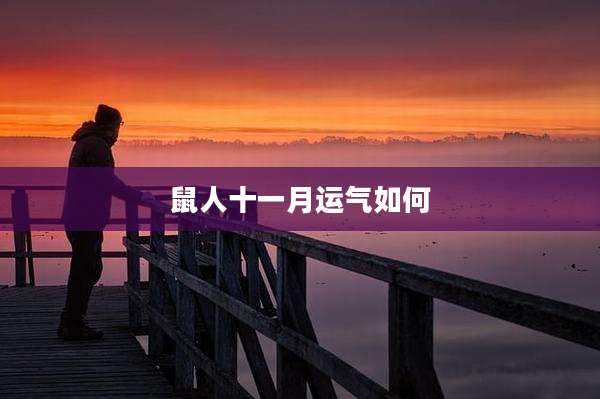 鼠人十一月运气如何