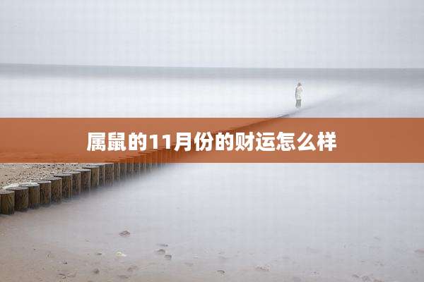 属鼠的11月份的财运怎么样