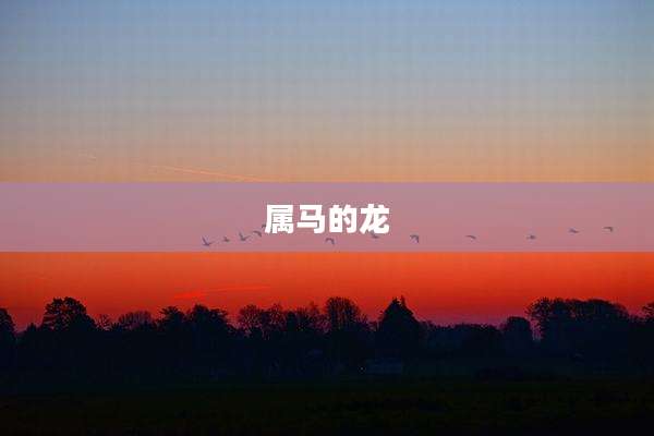 属马的龙