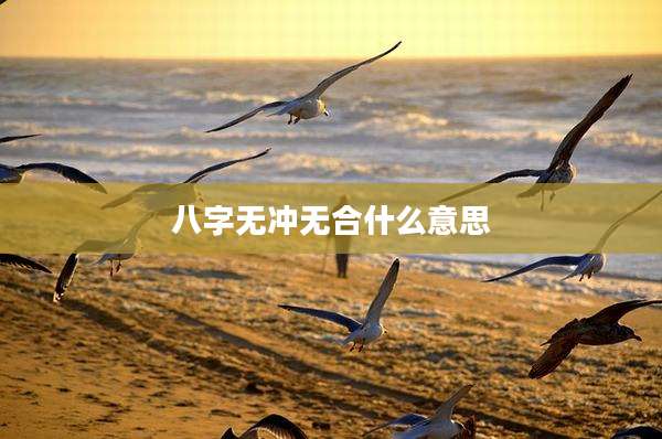 八字无冲无合什么意思