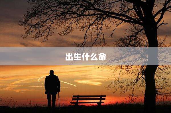 出生什么命