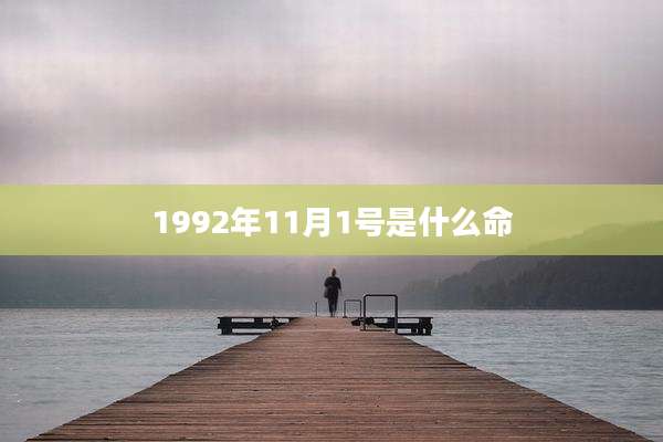 1992年11月1号是什么命