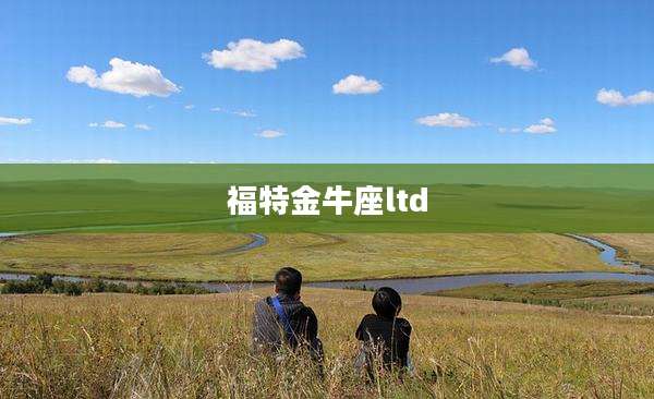 福特金牛座ltd