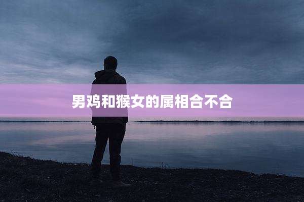 男鸡和猴女的属相合不合