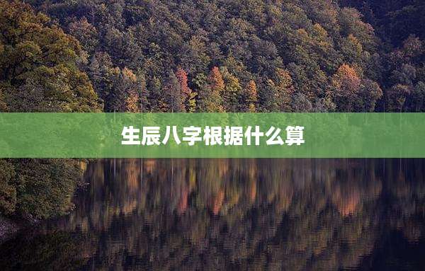 生辰八字根据什么算