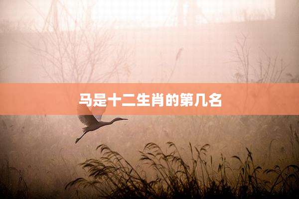 马是十二生肖的第几名