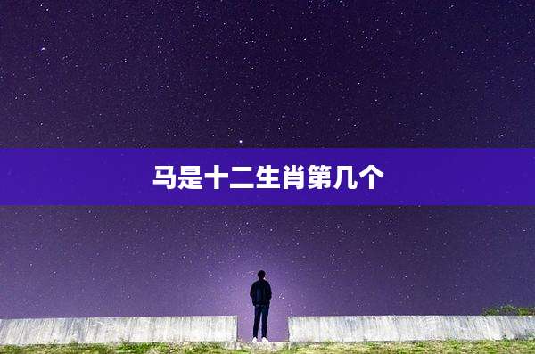 马是十二生肖第几个