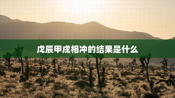 戊辰甲戌相冲的结果是什么