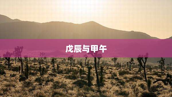 戊辰与甲午