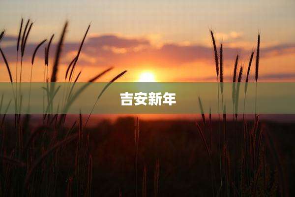吉安新年