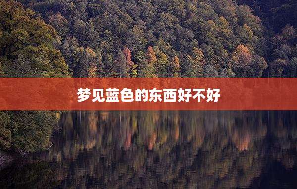 梦见蓝色的东西好不好