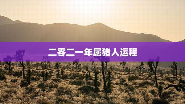 二零二一年属猪人运程