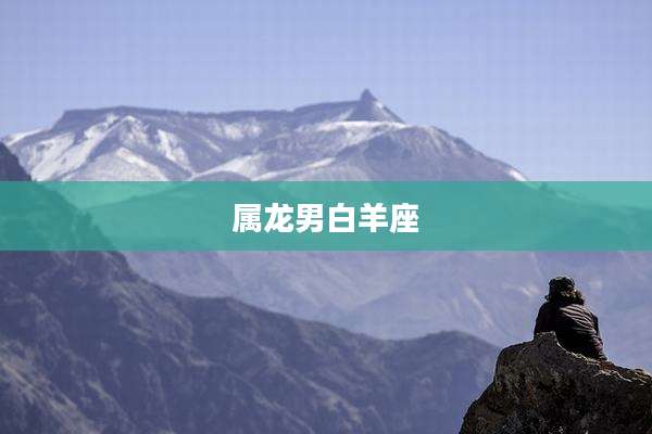 属龙男白羊座