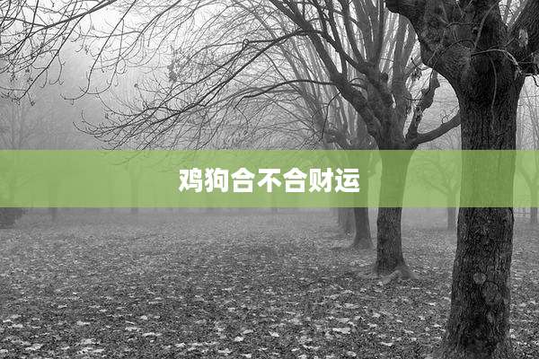 鸡狗合不合财运