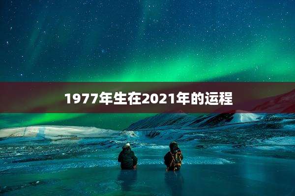 1977年生在2021年的运程