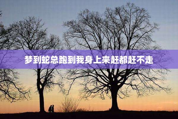 梦到蛇总跑到我身上来赶都赶不走