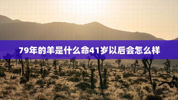 79年的羊是什么命41岁以后会怎么样