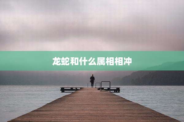 龙蛇和什么属相相冲
