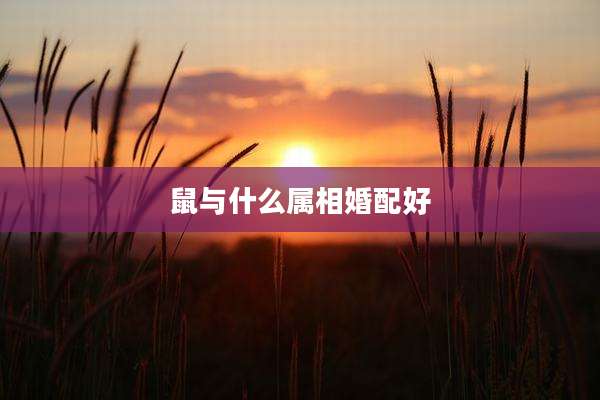 鼠与什么属相婚配好