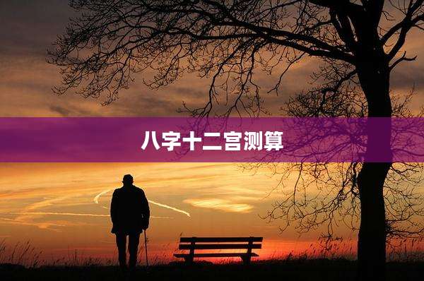 八字十二宫测算