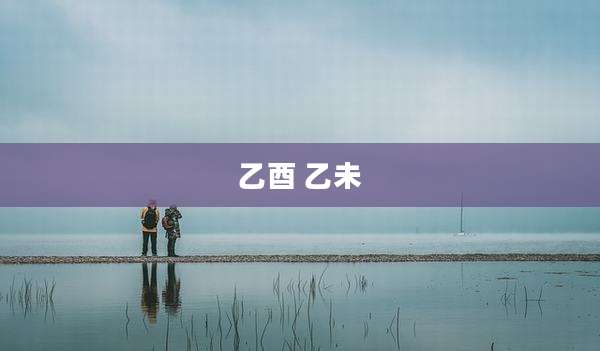 乙酉 乙未